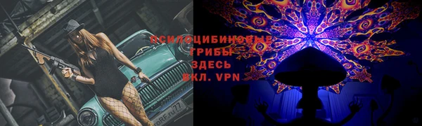 марихуана Белокуриха