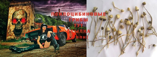 спиды Беломорск
