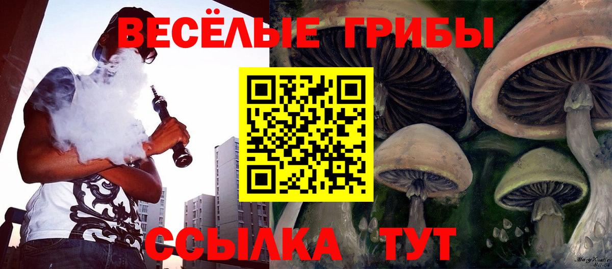 Луховицы  Псилоцибиновые грибы Psilocybine cubensis  Вход с VPN  Псилоцибиновые грибы Psilocybine cubensis 